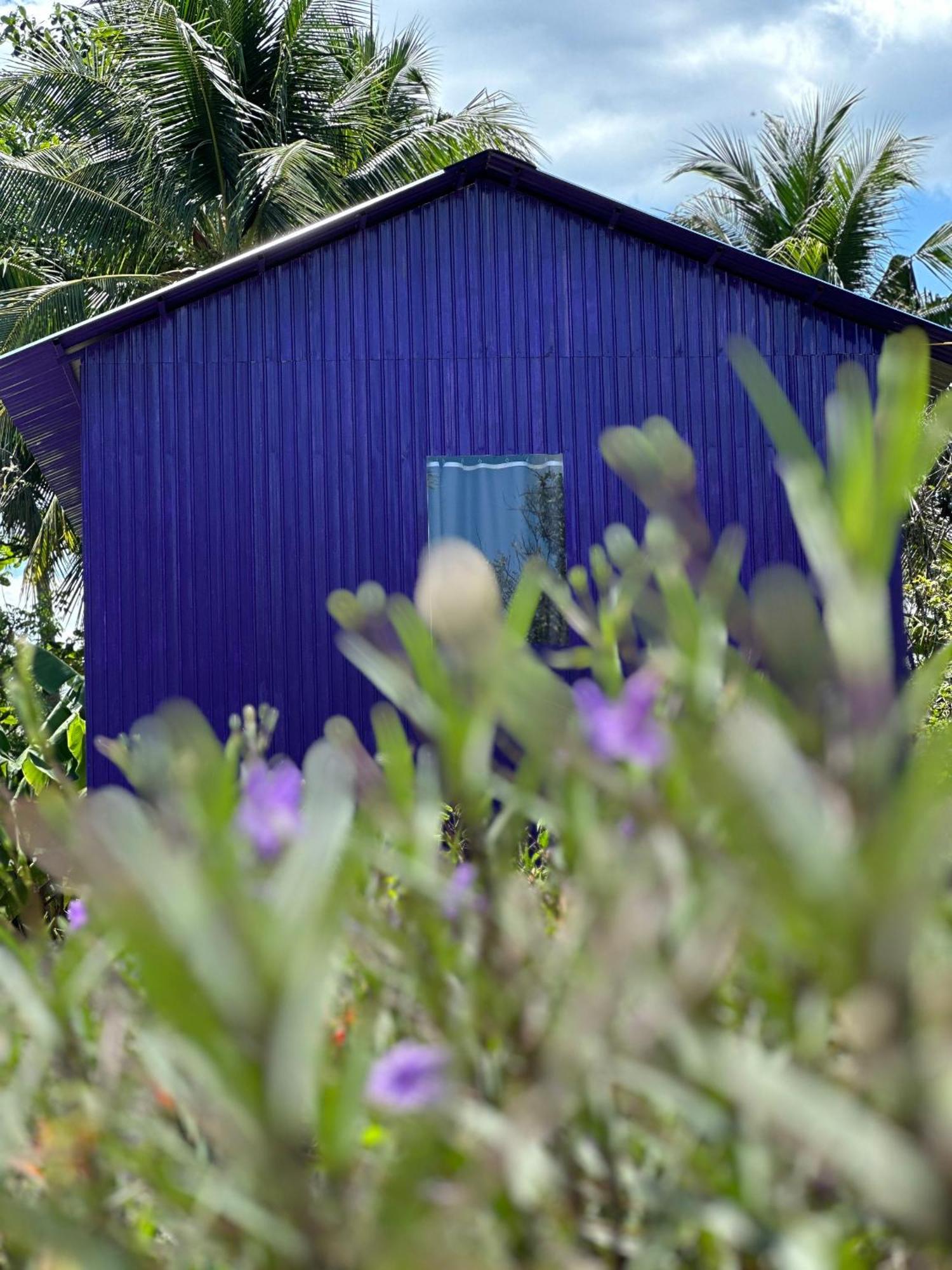 Hide Away Bungalows In Ben Tre City Eksteriør billede