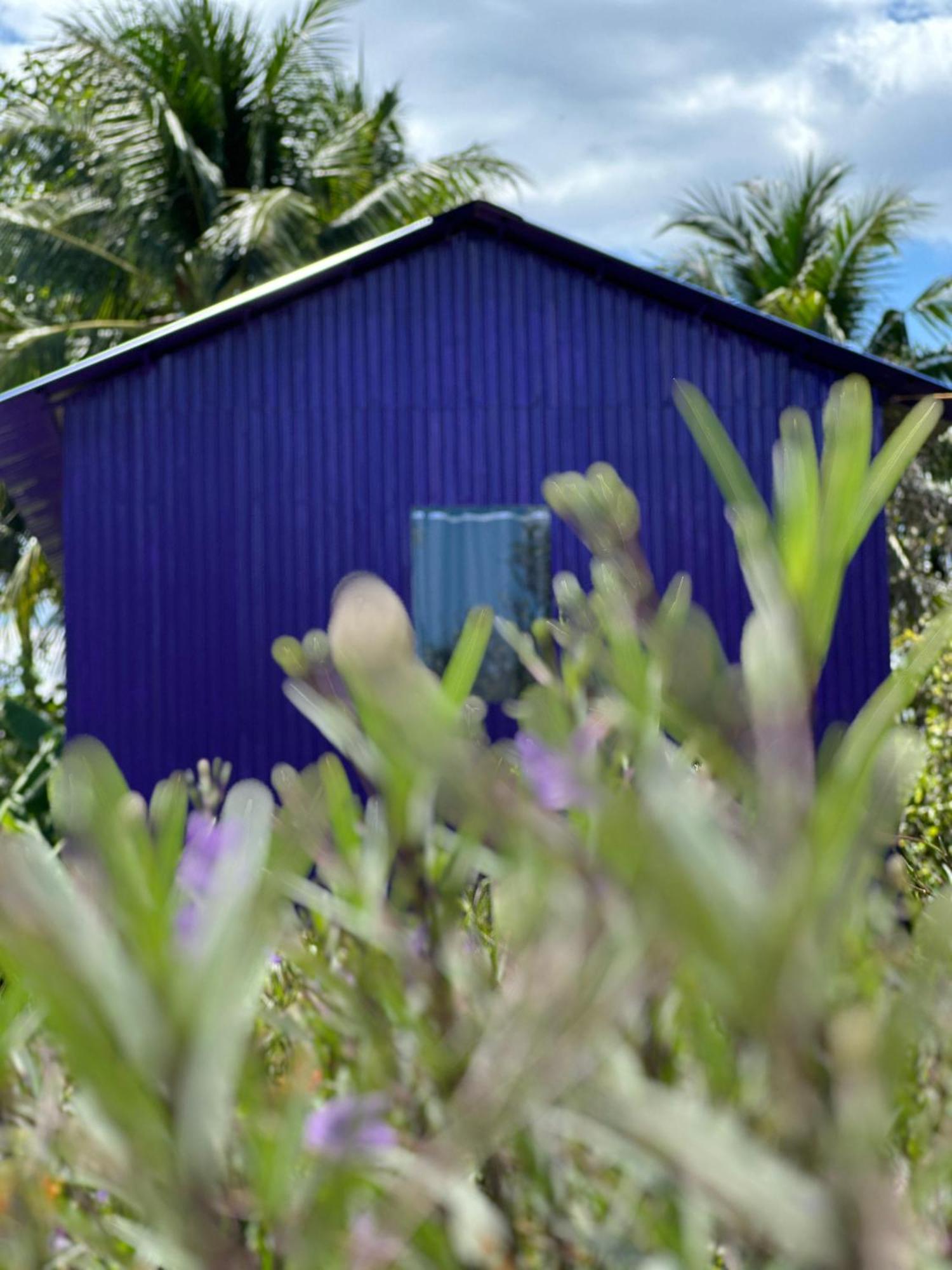 Hide Away Bungalows In Ben Tre City Eksteriør billede